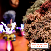 “Forêts astrales” : nos photos de l'exposition gratuite à voir à l'Institut suédois à Paris