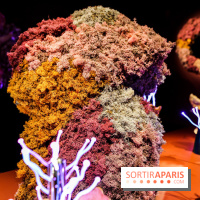 “Forêts astrales” : nos photos de l'exposition gratuite à voir à l'Institut suédois à Paris - IMG 5982