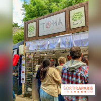 Asian Street Festival - les photos