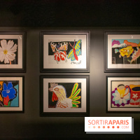 Exposition Malcolm de Chazal à la Halle Saint-Pierre - DSC 0994