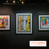 Exposition Malcolm de Chazal à la Halle Saint-Pierre - DSC 0995