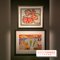 Exposition Malcolm de Chazal à la Halle Saint-Pierre - DSC 0999