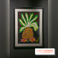 Exposition Malcolm de Chazal à la Halle Saint-Pierre - DSC 1006