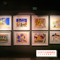 Exposition Malcolm de Chazal à la Halle Saint-Pierre - DSC 1008