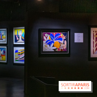 Exposition Malcolm de Chazal à la Halle Saint-Pierre - DSC 1018