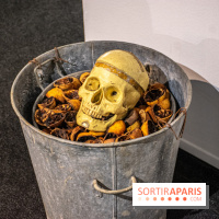 Exposition L'Electromécanomaniaque de Gilbert Peyre à la Halle Saint Pierre - DSC 1027