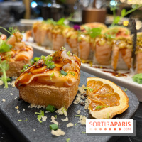 Moon Fusion - Tofu frit saumon