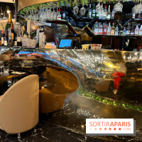 Moon Fusion - Décoration