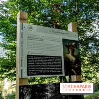 Le désert de Retz, le parc anglo-chinois insolite dans les Yvelines -  A7C2131