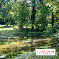 Le désert de Retz, le parc anglo-chinois insolite dans les Yvelines -  A7C2133