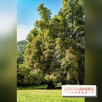 Le désert de Retz, le parc anglo-chinois insolite dans les Yvelines -  A7C2134