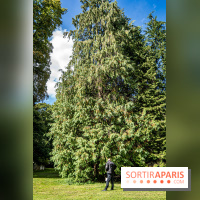 Le désert de Retz, le parc anglo-chinois insolite dans les Yvelines -  A7C2135