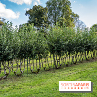 Le désert de Retz, le parc anglo-chinois insolite dans les Yvelines -  A7C2167