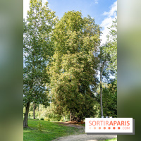 Le désert de Retz, le parc anglo-chinois insolite dans les Yvelines -  A7C2186