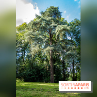 Le désert de Retz, le parc anglo-chinois insolite dans les Yvelines -  A7C2193