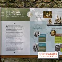 Le désert de Retz, le parc anglo-chinois insolite dans les Yvelines