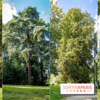 Le désert de Retz, le parc anglo-chinois insolite dans les Yvelines - 84ED8EA6 BBEF 4259 B500 E9CDDD3358B5