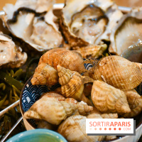 Quilles & coquilles, le comptoir gourmand aux saveurs iodées à Vincennes - DSC 2103 2