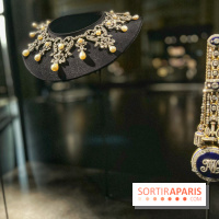 Divins Joyaux, à la recherche de la beauté - IMG 4626