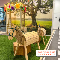 Petit Nuage - nos photos - image00040