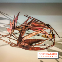 Les fleurs d'Yves Saint Laurent : l'exposition se dévoile en images au musée YSL - IMG20240919102948