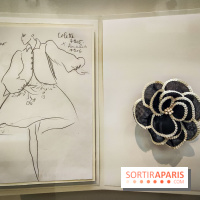 Les fleurs d'Yves Saint Laurent : l'exposition se dévoile en images au musée YSL - IMG20240919101231