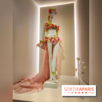 Les fleurs d'Yves Saint Laurent : l'exposition se dévoile en images au musée YSL - IMG20240919101301