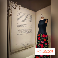 Les fleurs d'Yves Saint Laurent : l'exposition se dévoile en images au musée YSL - IMG20240919100701