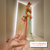 Les fleurs d'Yves Saint Laurent : l'exposition se dévoile en images au musée YSL - IMG20240919101334