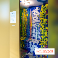 Les cabines de 70 artistes street-art à Molitor, 2e édition internationale - photos -  A7C2679