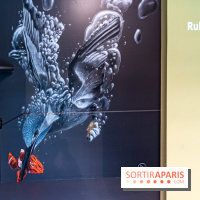 Les cabines de 70 artistes street-art à Molitor, 2e édition internationale - photos -  A7C2819