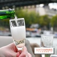 Une croisière privée en amoureux sur la Seine - DSC 2201