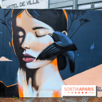 Festival de street art 2024 à Antony, nos photos - IMG 6075