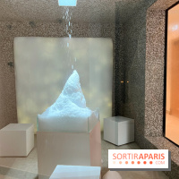 Dolce by Wyndham Versailles - Domaine du Montcel