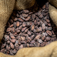 Salon du chocolat 2024 : Rendez-vous à Paris Expo - Porte de Versailles - Matiere 0002