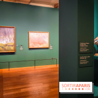 Bruno Liljefors, la Suède sauvage : l'exposition poétique se dévoile en images au Petit Palais - IMG20240930102545