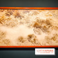 Bruno Liljefors, la Suède sauvage : l'exposition poétique se dévoile en images au Petit Palais - IMG20240930102024