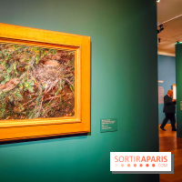 Bruno Liljefors, la Suède sauvage : l'exposition poétique se dévoile en images au Petit Palais - IMG20240930102510