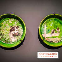 Bruno Liljefors, la Suède sauvage : l'exposition poétique se dévoile en images au Petit Palais