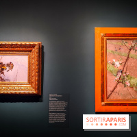 Bruno Liljefors, la Suède sauvage : l'exposition poétique se dévoile en images au Petit Palais - IMG20240930100745