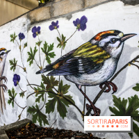 L'usine fait le mur, nos photos du festival de street art dans le 94 - IMG 6217