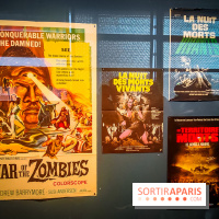 Zombis, la mort n'est pas une fin : l'exposition du musée du Quai Branly - IMG20241007112645