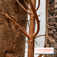 Arte Povera, l'exposition à la Bourse de Commerce, nos photos - IMG 6243