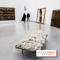 Arte Povera, l'exposition à la Bourse de Commerce, nos photos - IMG 6282