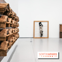 Arte Povera, l'exposition à la Bourse de Commerce, nos photos - IMG 6287