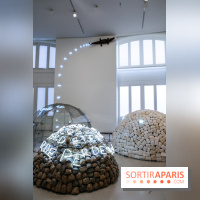 Arte Povera, l'exposition à la Bourse de Commerce, nos photos - IMG 6296