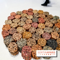 Arte Povera, l'exposition à la Bourse de Commerce, nos photos - IMG 6314