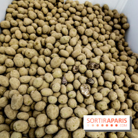 Arte Povera, l'exposition à la Bourse de Commerce, nos photos - IMG 6346