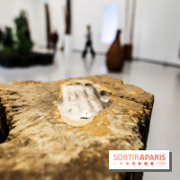 Arte Povera, l'exposition à la Bourse de Commerce, nos photos - IMG 6349