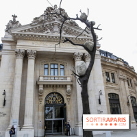 Arte Povera, l'exposition à la Bourse de Commerce, nos photos - IMG 6360